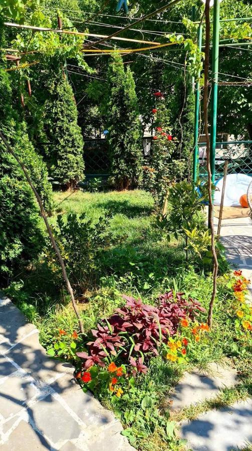 Guest House Casa Bordżomi Zewnętrze zdjęcie